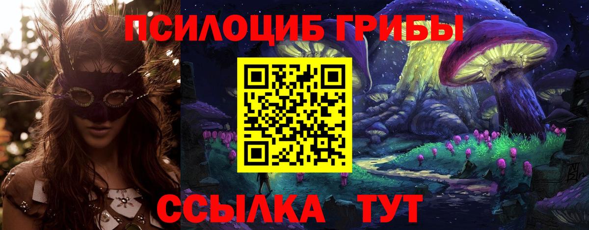 Галлюциногенные грибы GOLDEN TEACHER Малгобек