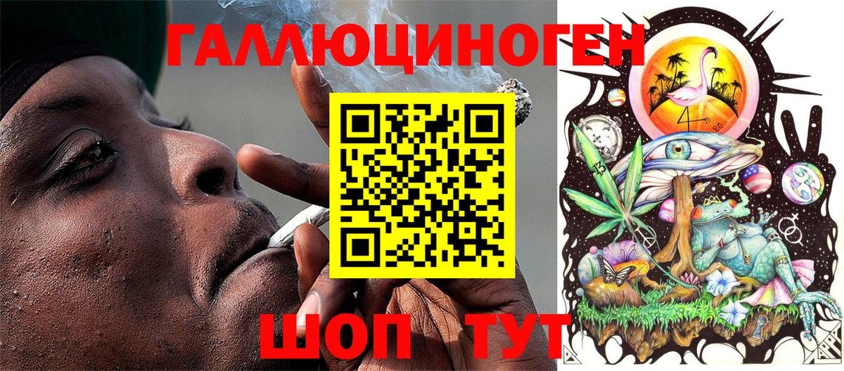 где купить наркотик  Галлюциногенные грибы ЛСД  Вход с VPN  Галлюциногенные грибы ЛСД  Малгобек 